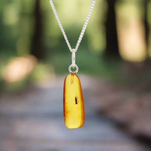 Get your Authentic Baltic Amber Pendant with Insect Inclusion - Silver Chain online now or in store at Forever Gems in Franschhoek, South Africa