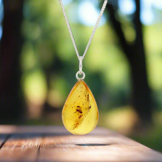 Get your Real Baltic Amber Teardrop Pendant - Prehistoric Insect Inclusions online now or in store at Forever Gems in Franschhoek, South Africa