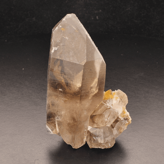 Get your Smoky Quartz Point (Steinkopf) online now or in store at Forever Gems in Franschhoek, South Africa