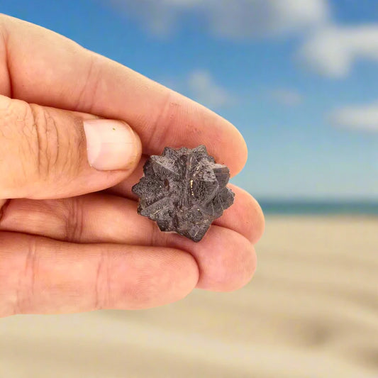 Get your Prophecy Stone - A Rare Find from the Desert online now or in store at Forever Gems in Franschhoek, South Africa