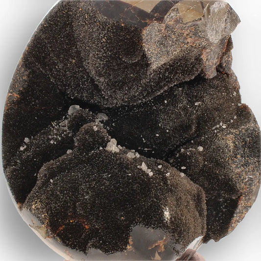 Get your Septarian "Dragon’s Egg" from Madagascar with Crystal Cavity online now or in store at Forever Gems in Franschhoek, South Africa