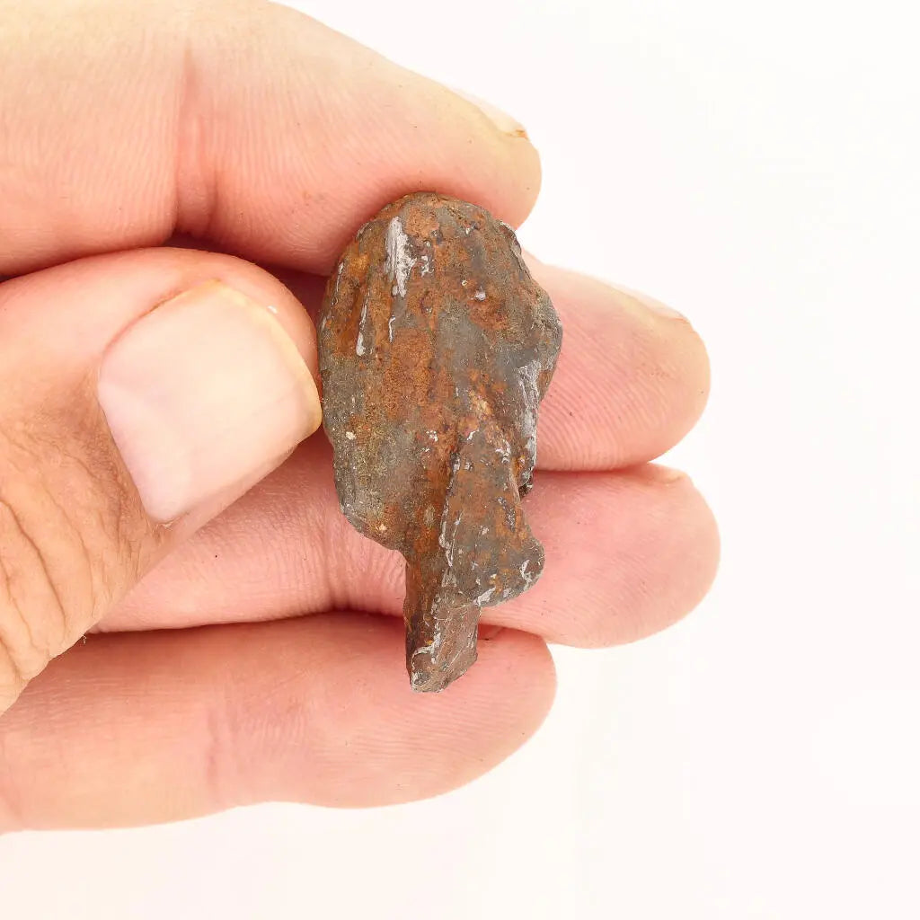 Buy your 31g Gebel Kamil Meteorite – Cosmic Crash Treasure online now or in store at Forever Gems in Franschhoek, South Africa
