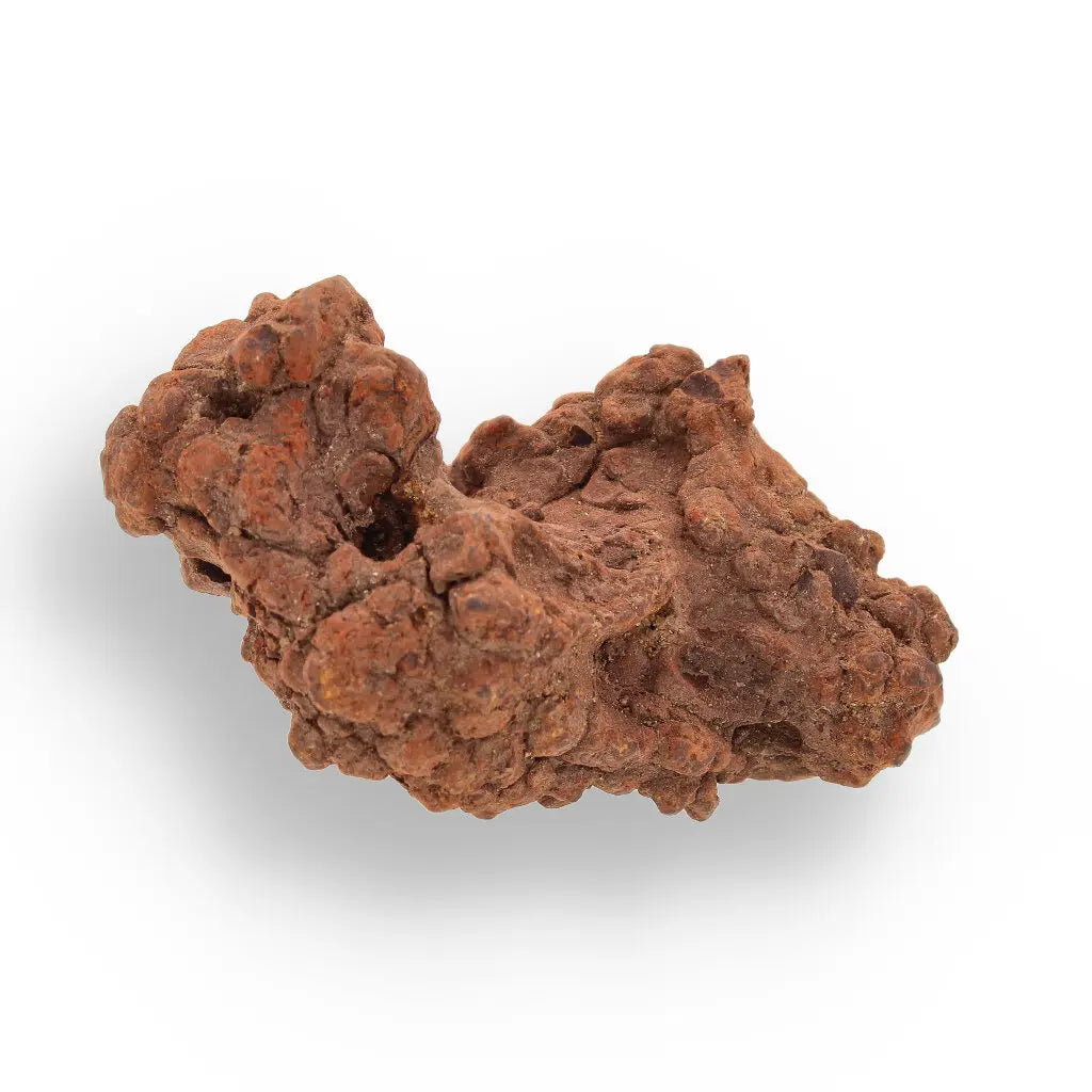 Get your Coprolite - Real Prehistoric Turtle Poo, Mahajanga Province online now or in store at Forever Gems in Franschhoek, South Africa