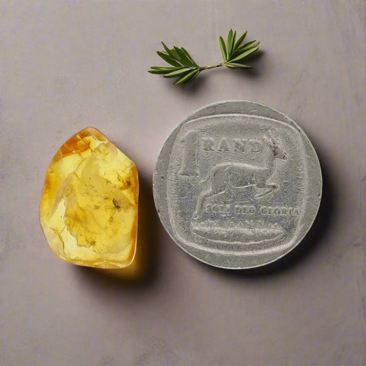Get your Natural Baltic Amber Specimen with Trapped Insect online now or in store at Forever Gems in Franschhoek, South Africa