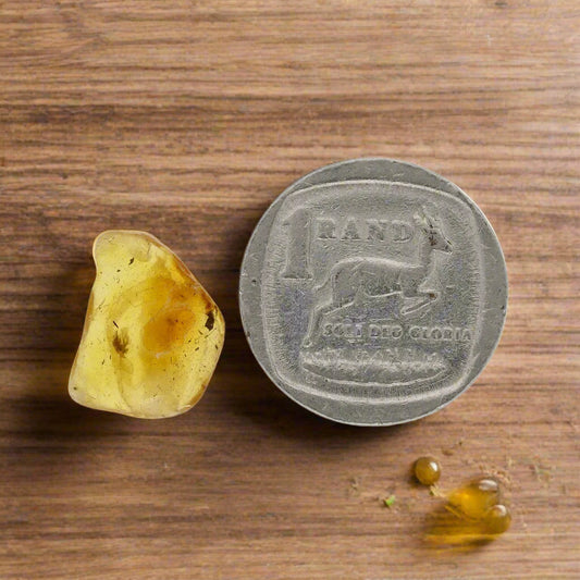 Get your Real Baltic Amber - Fossil Insect from 40 Million Years online now or in store at Forever Gems in Franschhoek, South Africa