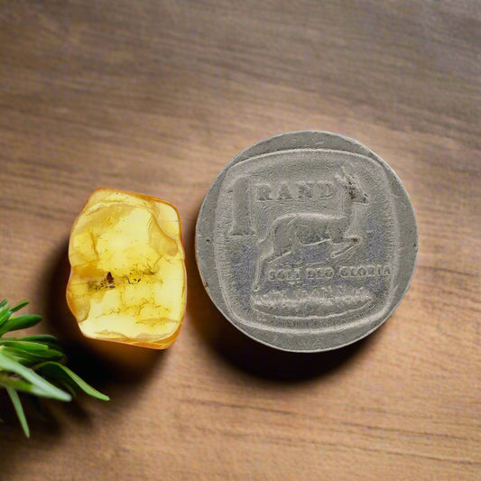Get your Genuine Baltic Amber: Ancient Insect Time Capsule Retry online now or in store at Forever Gems in Franschhoek, South Africa