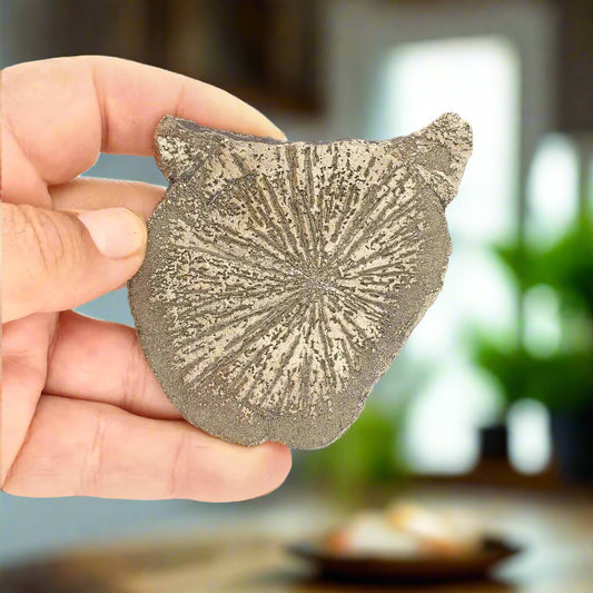 Get your Pyrite Sun: Illinois-Grown Specimen with Intricate Details online now or in store at Forever Gems in Franschhoek, South Africa