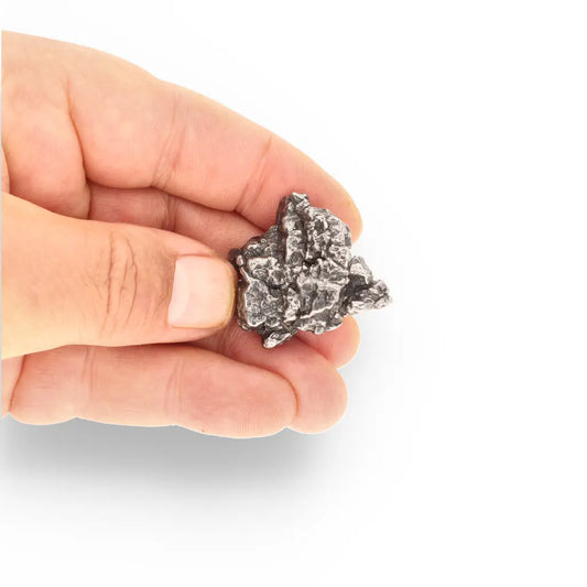 Get your 49g Campo del Cielo Meteorite - Historic Argentine Space Rock Collector Item online now or in store at Forever Gems in Franschhoek, South Africa