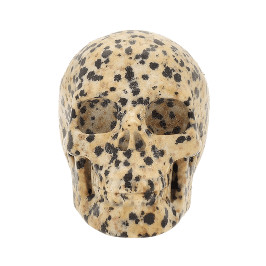 Get your Dalmatian Jasper Skull Carving – Grounding & Joy Crystal Skull online now or in store at Forever Gems in Franschhoek, South Africa