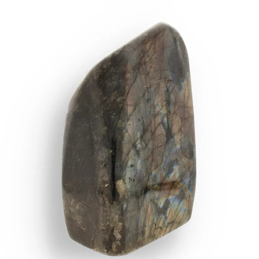 Get your Labradorite Freeform – Earthy Glow, Hidden Light online now or in store at Forever Gems in Franschhoek, South Africa