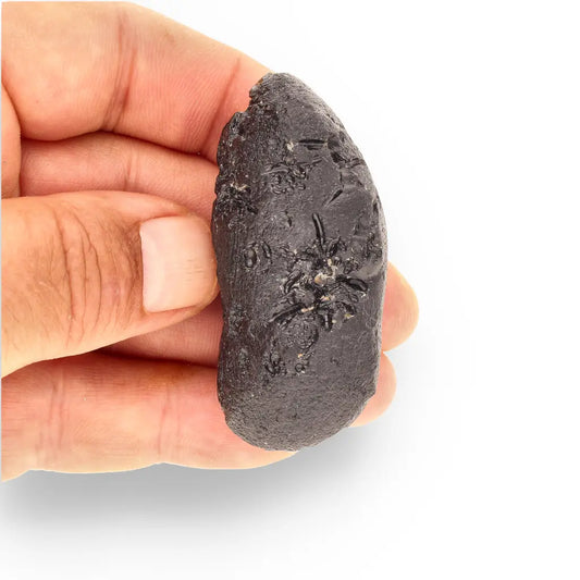 Get your Indochinite Tektite - Cosmic Glass Droplet from the Ultimate Impact Zone online now or in store at Forever Gems in Franschhoek, South Africa