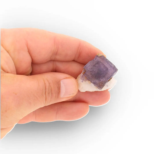 Get your Striking Purple Fluorite on Quartz, Steinkopf South Africa online now or in store at Forever Gems in Franschhoek, South Africa