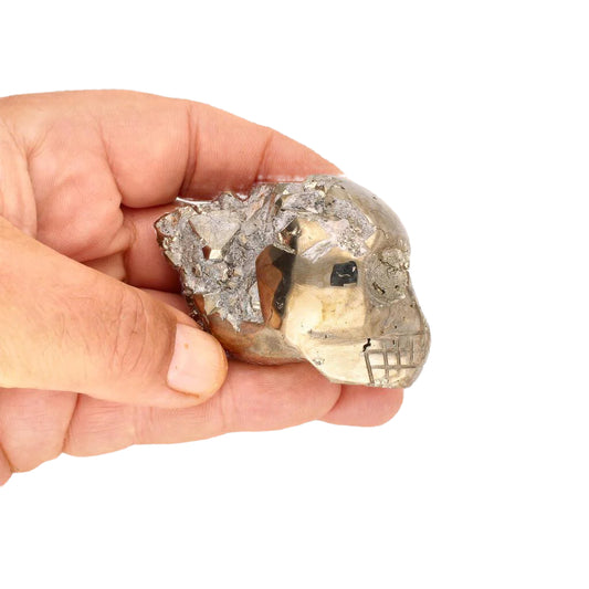 Get your Powerful Pyrite Carved Skull: Unveil the Mystical Energy Within online now or in store at Forever Gems in Franschhoek, South Africa