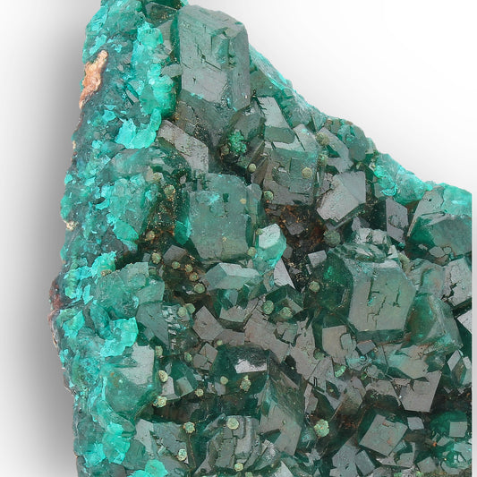 Dioptase Crystal Cluster on Matrix – Congo Mineral Specimen