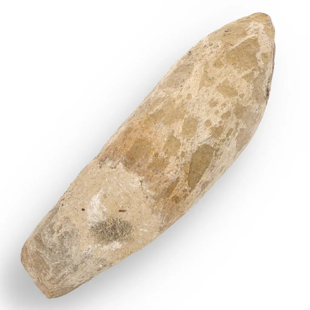 Get your Cretaceous Treasure: Brazilian Fossil Fish online now or in store at Forever Gems in Franschhoek, South Africa