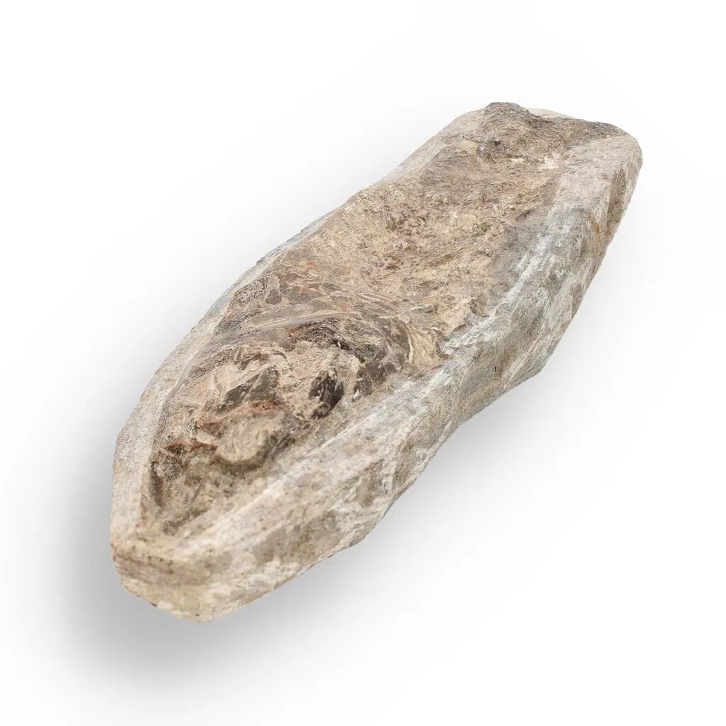 Get your Brazilian Fossil Fish: Natural History's Gem online now or in store at Forever Gems in Franschhoek, South Africa