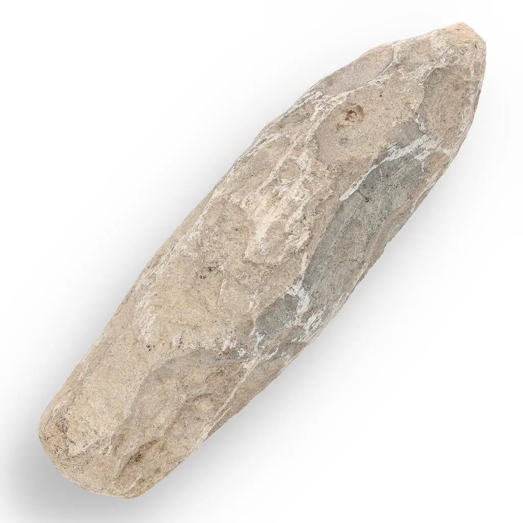 Get your Brazilian Fossil Fish: Natural History's Gem online now or in store at Forever Gems in Franschhoek, South Africa