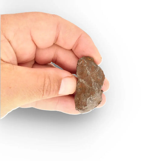 Get your Gebel Kamil Iron Meteorite – A Rare Sahara Desert Space Treasure online now or in store at Forever Gems in Franschhoek, South Africa