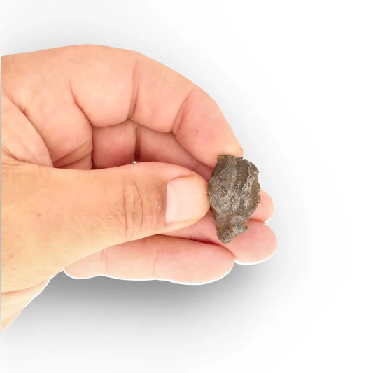 Get your Gebel Kamil Iron Meteorite Fragment – Born in an Ancient Asteroid online now or in store at Forever Gems in Franschhoek, South Africa