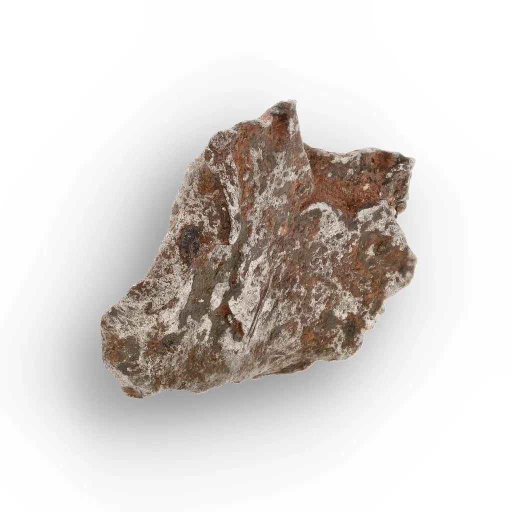 Get your Authentic Gebel Kamil Meteorite – Rare Iron Meteorite from Egypt online now or in store at Forever Gems in Franschhoek, South Africa