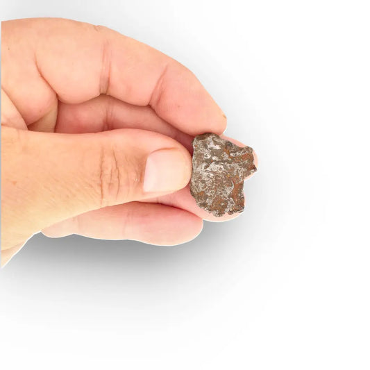 Get your Authentic Gebel Kamil Meteorite – Rare Iron Meteorite from Egypt online now or in store at Forever Gems in Franschhoek, South Africa