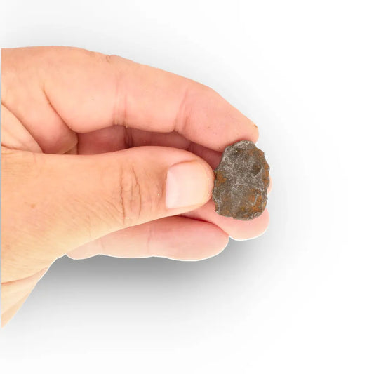 Get your Gebel Kamil Meteorite – A Billion-Year-Old Iron Space Rock online now or in store at Forever Gems in Franschhoek, South Africa