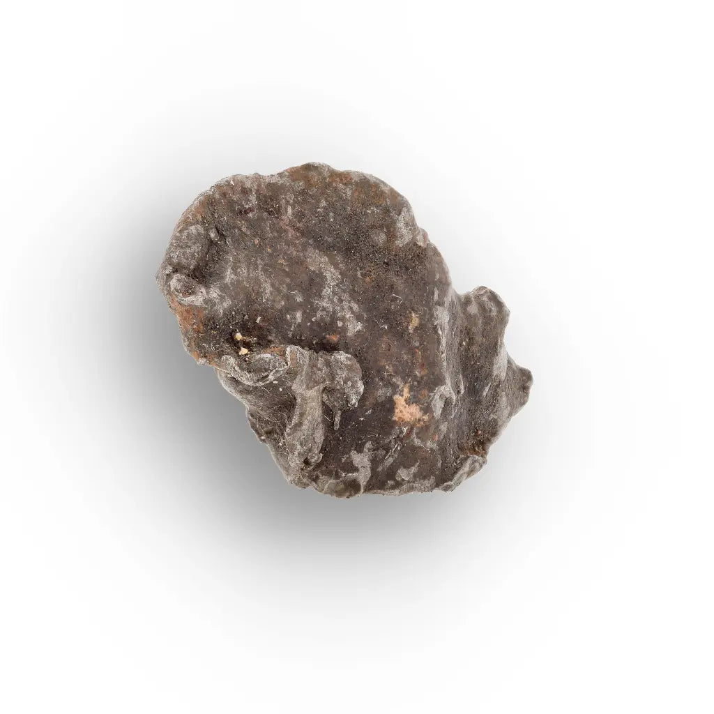 Get your Authentic Gebel Kamil Iron Meteorite – A True Sahara Crater Meteorite online now or in store at Forever Gems in Franschhoek, South Africa