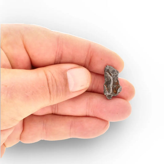 Get your Authentic Agoudal Iron Meteorite from the High Atlas online now or in store at Forever Gems in Franschhoek, South Africa