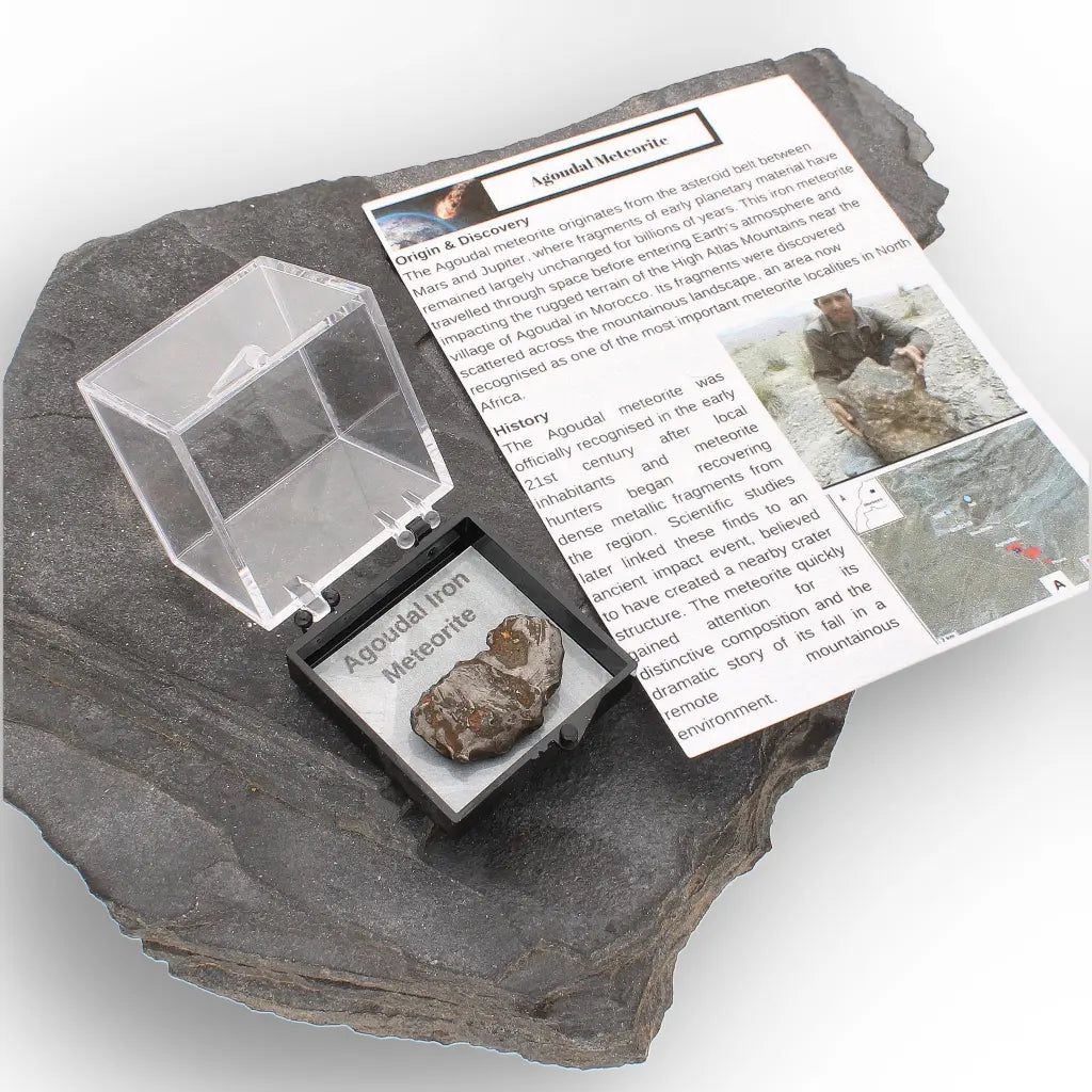 Get your Authentic Agoudal Iron Meteorite from Morocco online now or in store at Forever Gems in Franschhoek, South Africa