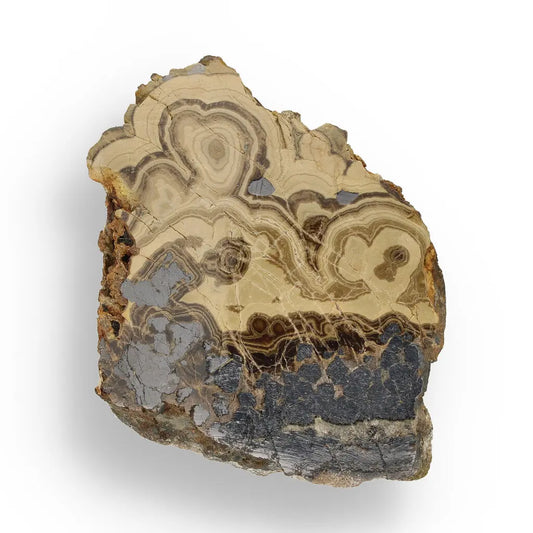 Get your Museum-Quality Olkusz Schalenblende: Polished Sphalerite, Galena, Marcasite Ore Specimen online now or in store at Forever Gems in Franschhoek, South Africa