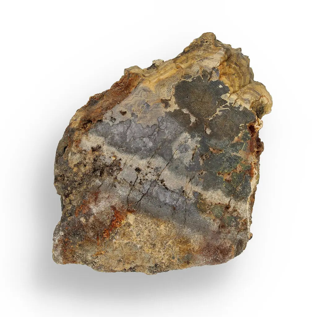 Get your Museum-Quality Olkusz Schalenblende: Polished Sphalerite, Galena, Marcasite Ore Specimen online now or in store at Forever Gems in Franschhoek, South Africa