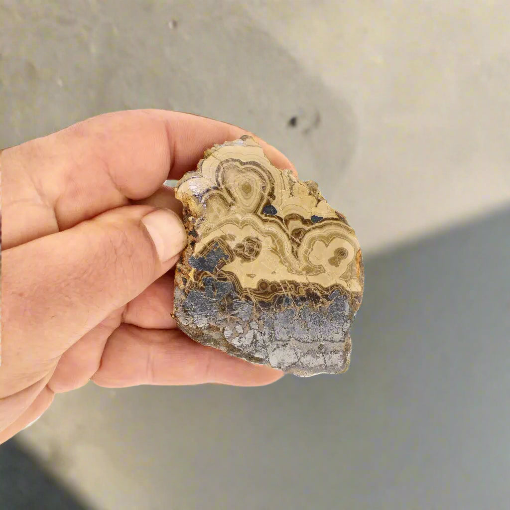 Get your Museum-Quality Olkusz Schalenblende: Polished Sphalerite, Galena, Marcasite Ore Specimen online now or in store at Forever Gems in Franschhoek, South Africa