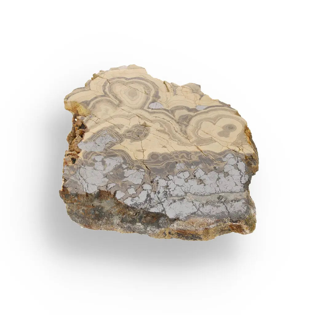 Get your Museum-Quality Olkusz Schalenblende: Polished Sphalerite, Galena, Marcasite Ore Specimen online now or in store at Forever Gems in Franschhoek, South Africa