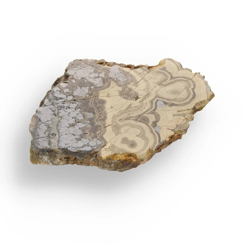 Get your Museum-Quality Olkusz Schalenblende: Polished Sphalerite, Galena, Marcasite Ore Specimen online now or in store at Forever Gems in Franschhoek, South Africa