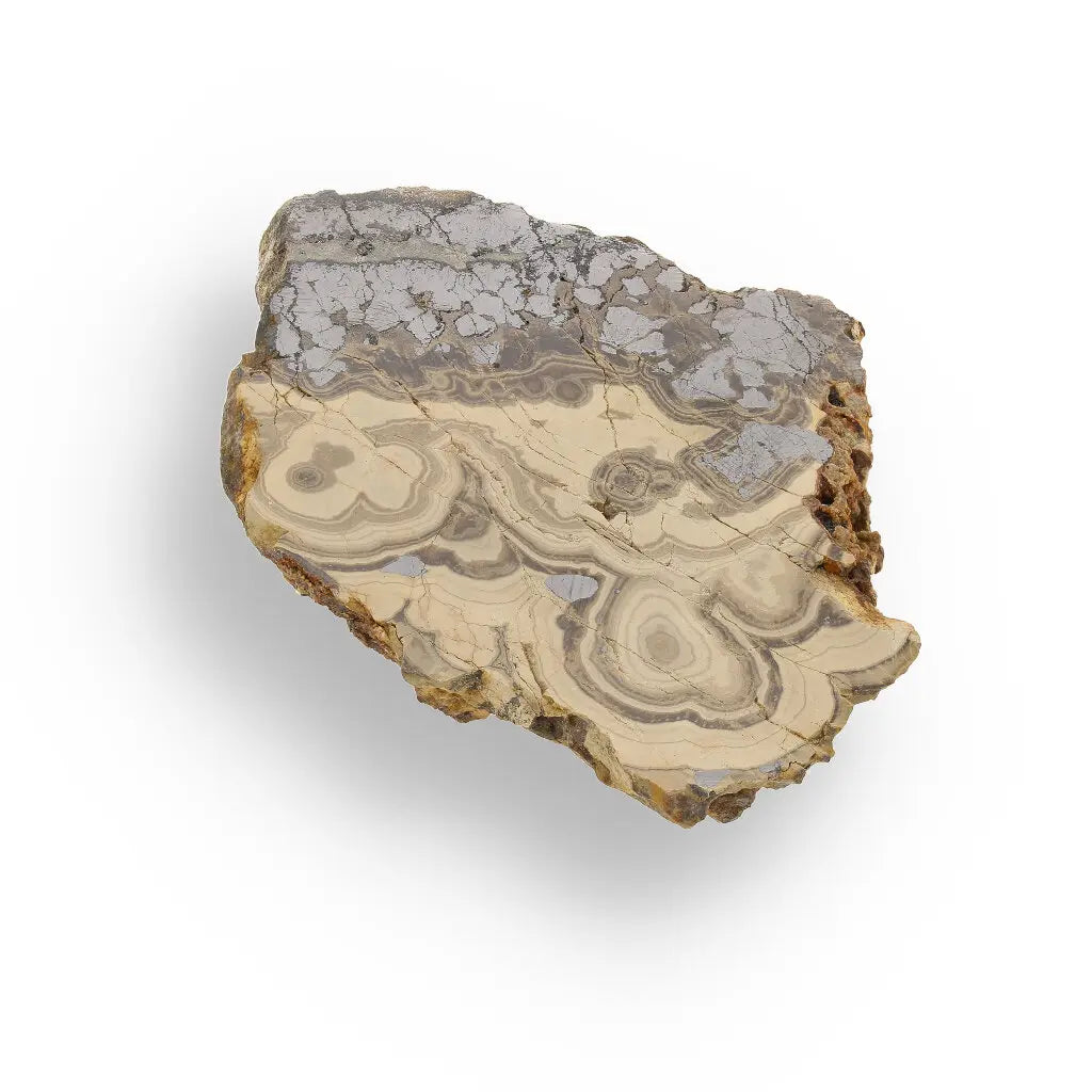 Get your Museum-Quality Olkusz Schalenblende: Polished Sphalerite, Galena, Marcasite Ore Specimen online now or in store at Forever Gems in Franschhoek, South Africa