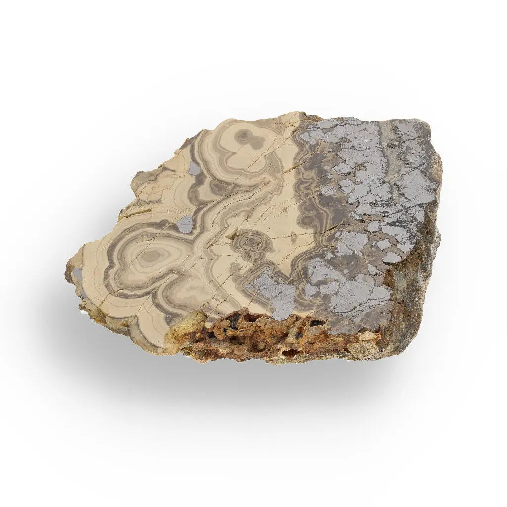 Get your Museum-Quality Olkusz Schalenblende: Polished Sphalerite, Galena, Marcasite Ore Specimen online now or in store at Forever Gems in Franschhoek, South Africa