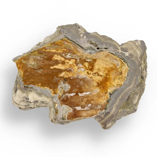 Get your Striking Olkusz Mine Schalenblende: Polished Slice with Distinctive Banding and Galena Inclusions online now or in store at Forever Gems in Franschhoek, South Africa