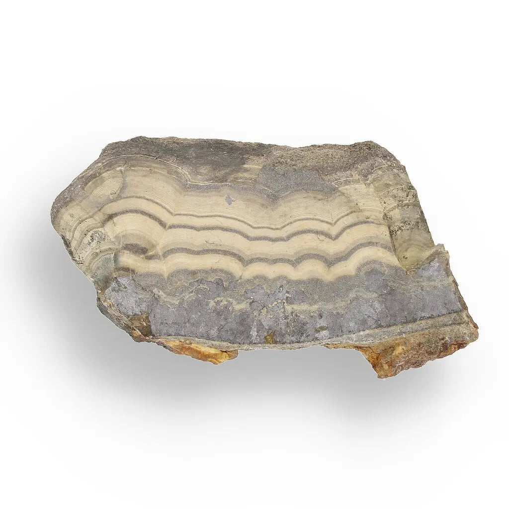 Get your Collector's Grade Olkusz Schalenblende: Fluorescent Sphalerite, Galena & Marcasite Slice from Poland online now or in store at Forever Gems in Franschhoek, South Africa