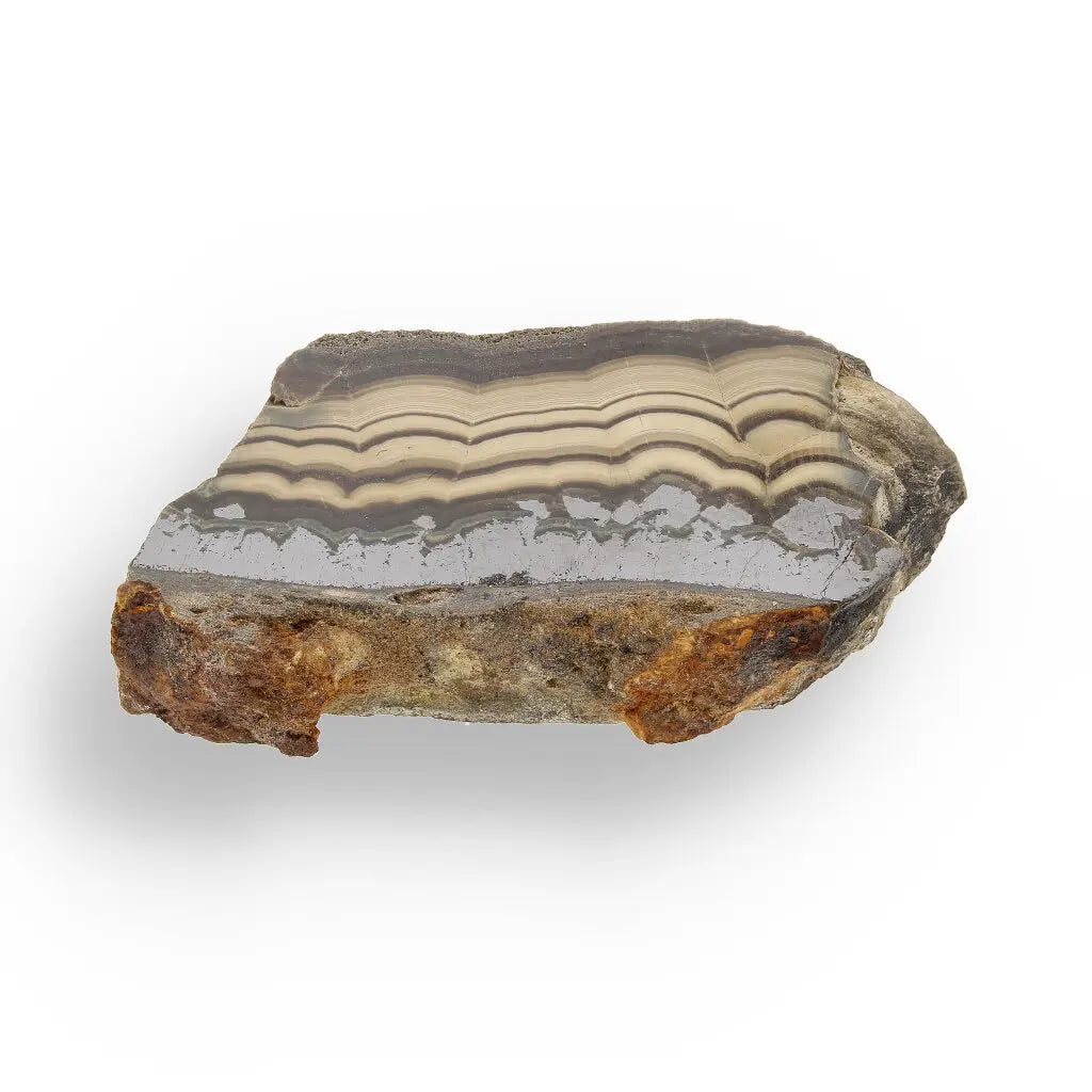 Get your Collector's Grade Olkusz Schalenblende: Fluorescent Sphalerite, Galena & Marcasite Slice from Poland online now or in store at Forever Gems in Franschhoek, South Africa