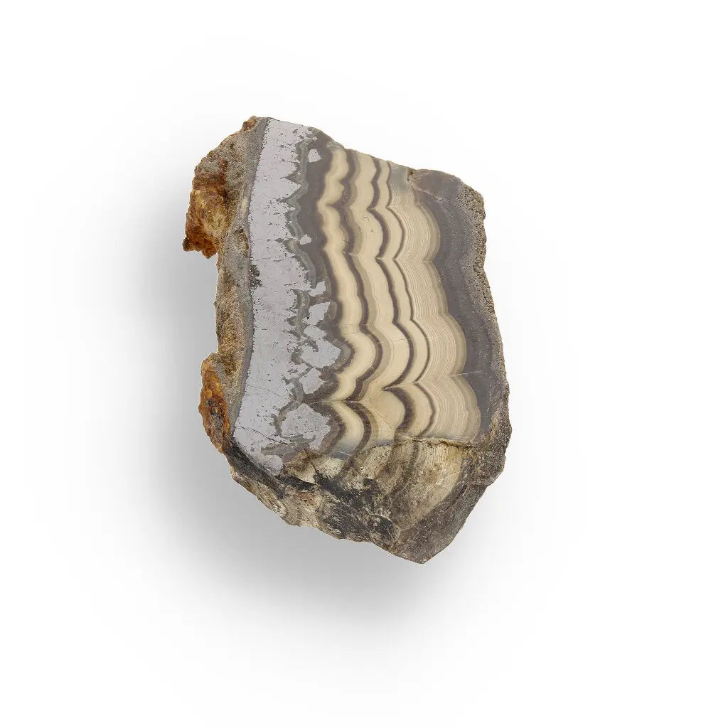 Get your Collector's Grade Olkusz Schalenblende: Fluorescent Sphalerite, Galena & Marcasite Slice from Poland online now or in store at Forever Gems in Franschhoek, South Africa