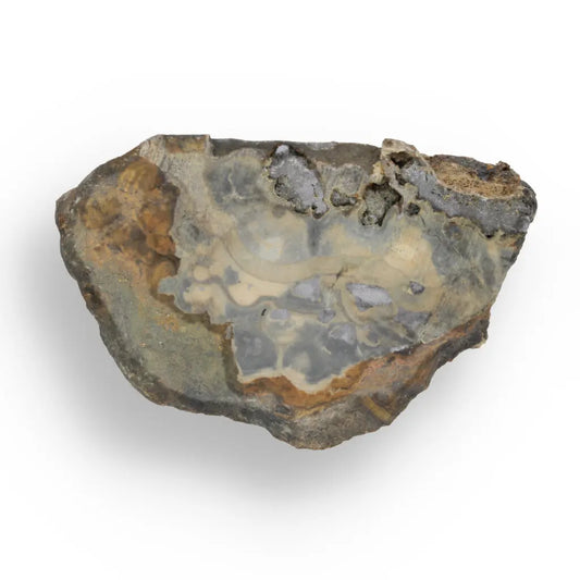 Get your Authentic Olkusz Schalenblende Slice: Unique Banded Sulfide Ore from Pomorzany Mine online now or in store at Forever Gems in Franschhoek, South Africa