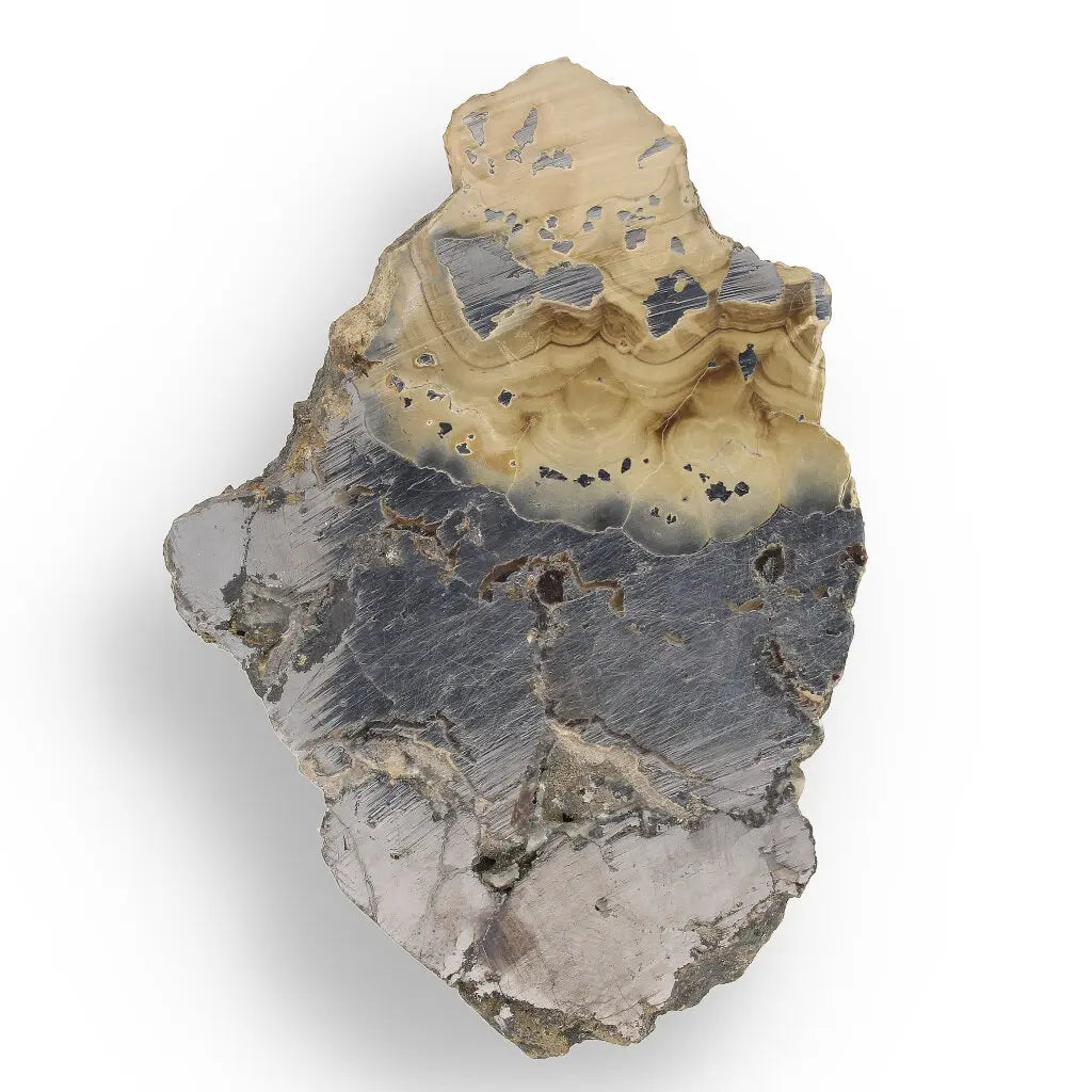 Get your Exquisite Olkusz Schalenblende: Hand-Polished Sphalerite, Galena, Marcasite with Colloform Texture online now or in store at Forever Gems in Franschhoek, South Africa