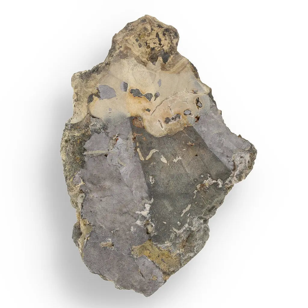 Get your Exquisite Olkusz Schalenblende: Hand-Polished Sphalerite, Galena, Marcasite with Colloform Texture online now or in store at Forever Gems in Franschhoek, South Africa