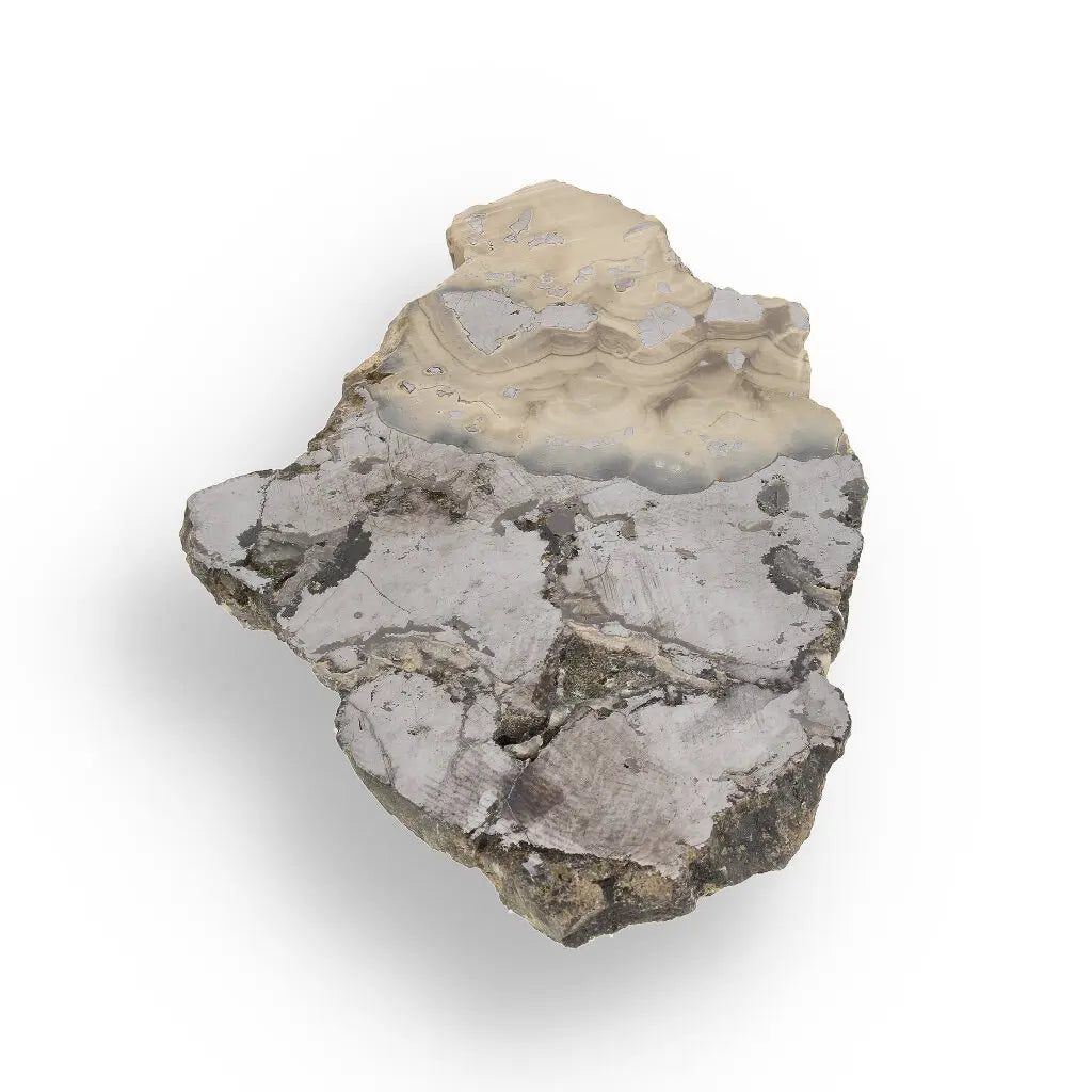 Get your Exquisite Olkusz Schalenblende: Hand-Polished Sphalerite, Galena, Marcasite with Colloform Texture online now or in store at Forever Gems in Franschhoek, South Africa