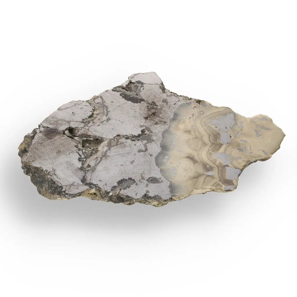 Get your Exquisite Olkusz Schalenblende: Hand-Polished Sphalerite, Galena, Marcasite with Colloform Texture online now or in store at Forever Gems in Franschhoek, South Africa