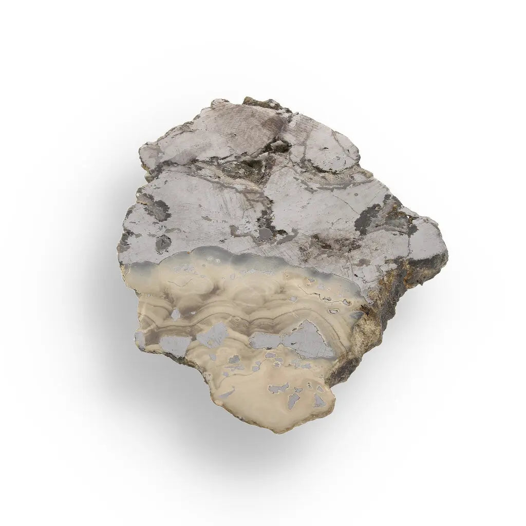 Get your Exquisite Olkusz Schalenblende: Hand-Polished Sphalerite, Galena, Marcasite with Colloform Texture online now or in store at Forever Gems in Franschhoek, South Africa