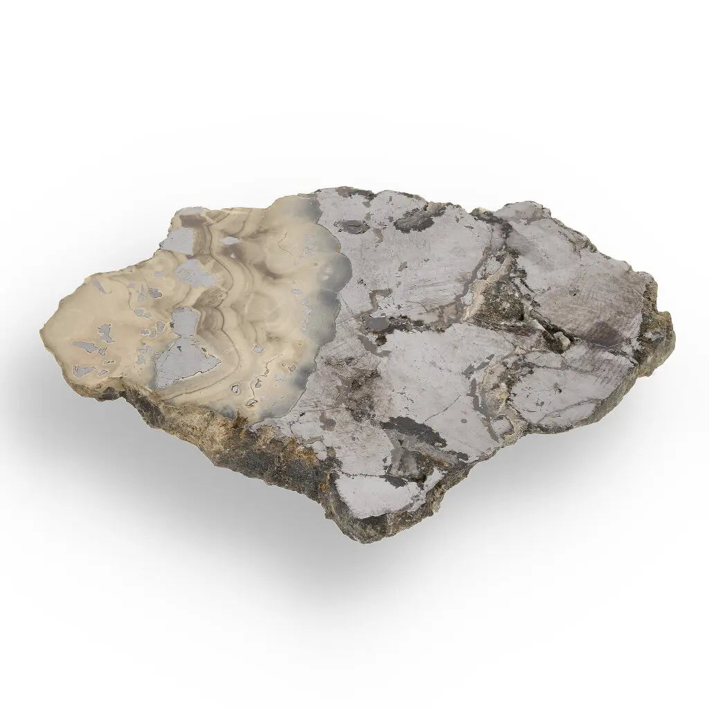 Get your Exquisite Olkusz Schalenblende: Hand-Polished Sphalerite, Galena, Marcasite with Colloform Texture online now or in store at Forever Gems in Franschhoek, South Africa