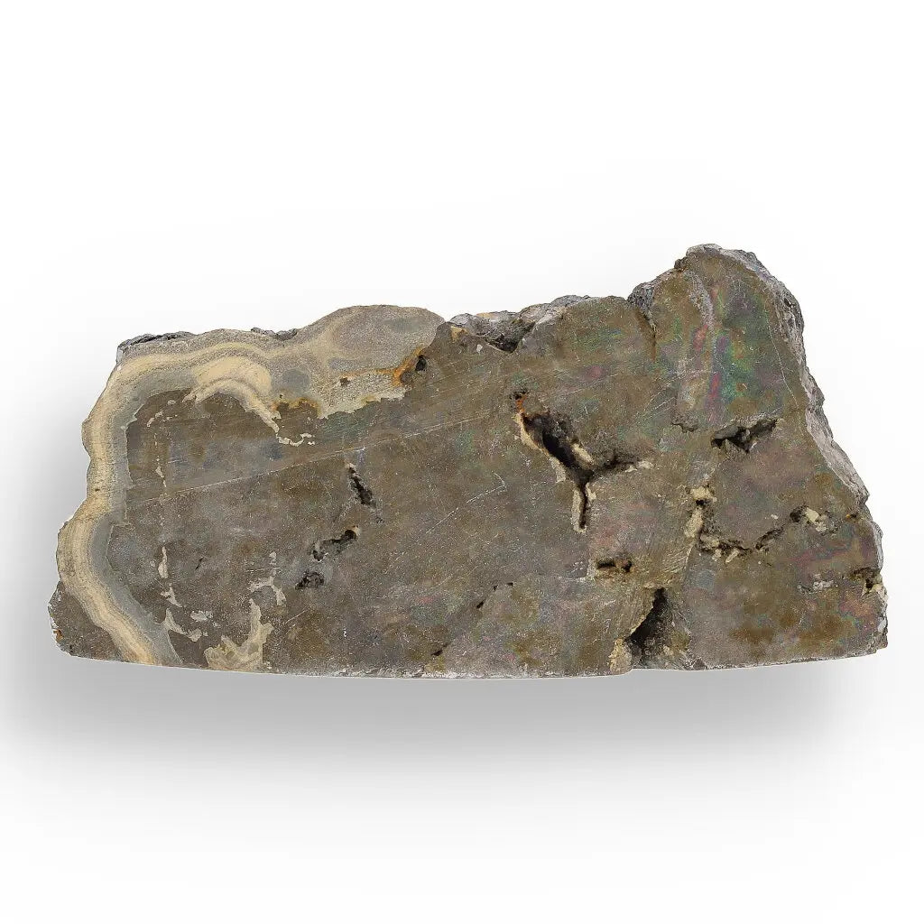 Get your Premier Olkusz Schalenblende: Rare Concentric Sphalerite & Marcasite with Silvery Galena online now or in store at Forever Gems in Franschhoek, South Africa