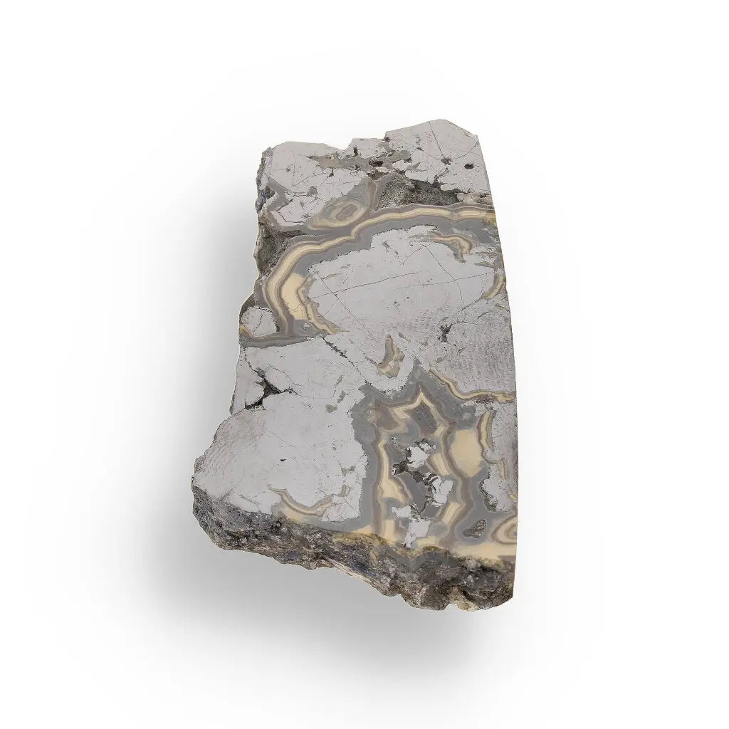 Get your Premier Olkusz Schalenblende: Rare Concentric Sphalerite & Marcasite with Silvery Galena online now or in store at Forever Gems in Franschhoek, South Africa