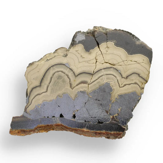 Get your Investment Quality Olkusz Schalenblende: Polished Banded Zn-Pb-Fe Sulfide from a Classic Locality online now or in store at Forever Gems in Franschhoek, South Africa